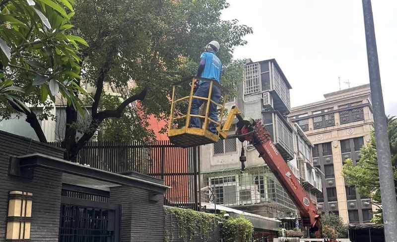 Dịch vụ cắt tỉa cây xanh